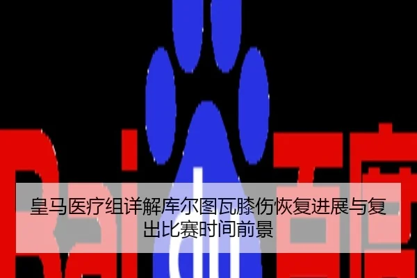img_1782562277825_1232_1_379.jpg