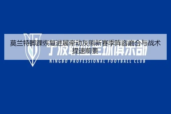 莫兰特脚踝恢复进展牵动灰熊新赛季阵容磨合与战术提速前景